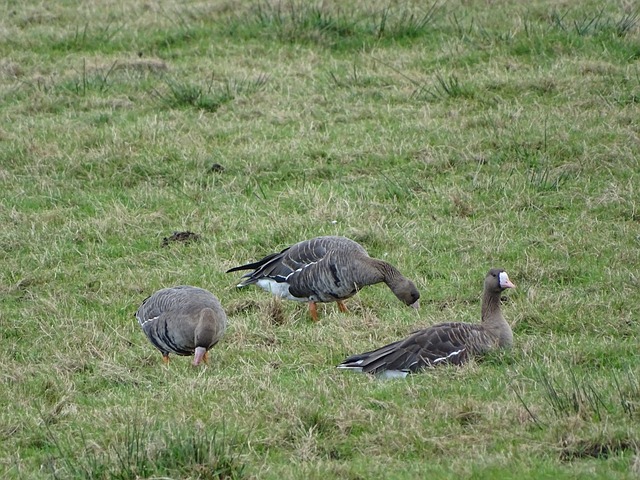 路湿滑及交 路湿滑及交